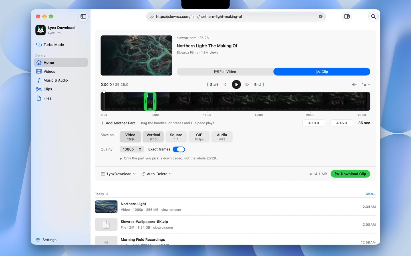 Lynx Download Manager screenshot