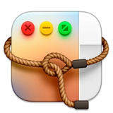 Lasso Icon