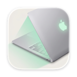 Shiny icon
